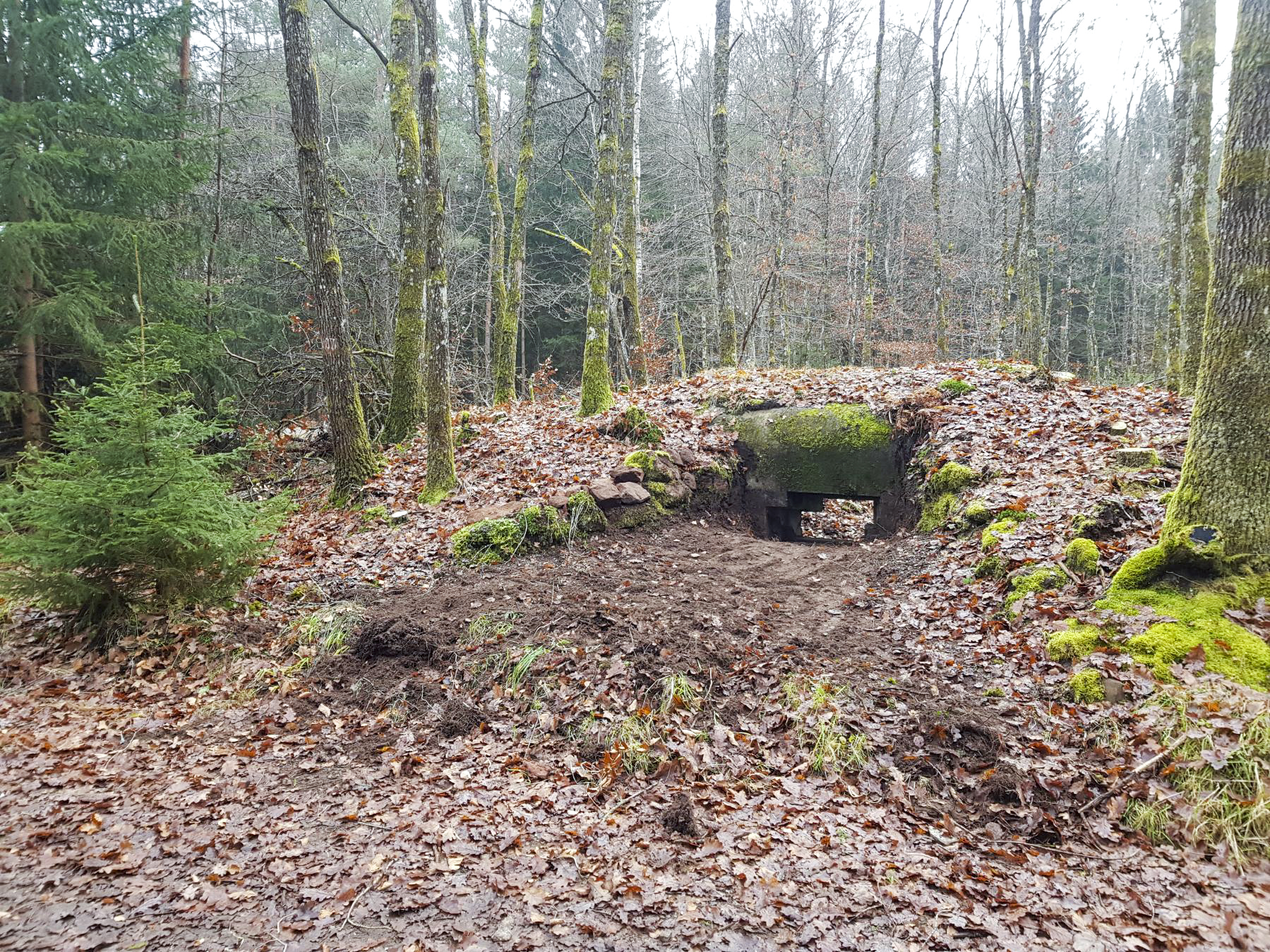 Ligne Maginot - REHKOEPFEL - (Blockhaus pour canon) - Bouclier pour canon de 25 AC - Dominique Kemmel