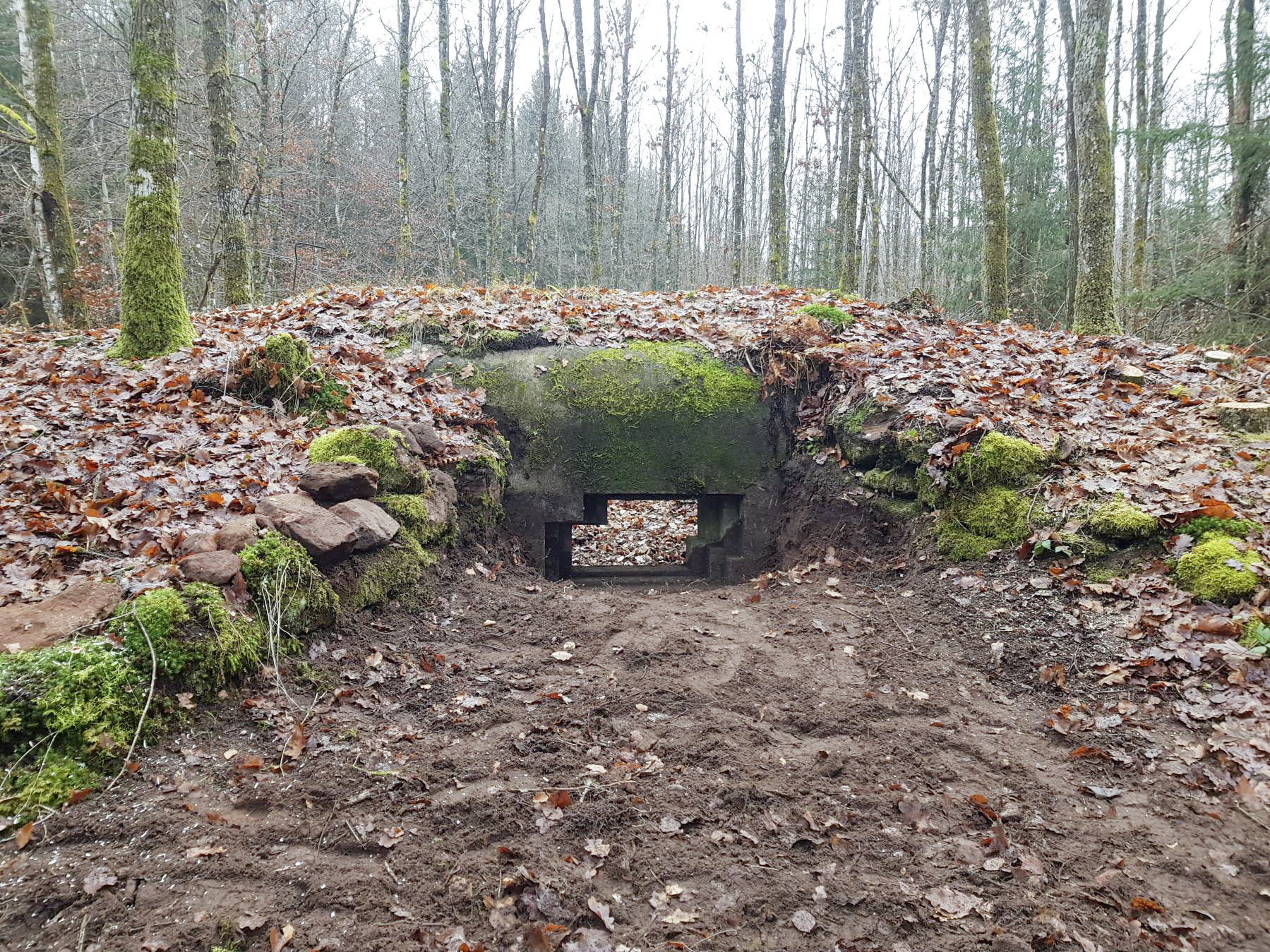 Ligne Maginot - REHKOEPFEL - (Blockhaus pour canon) - Bouclier pour canon de 25 AC - Dominique Kemmel