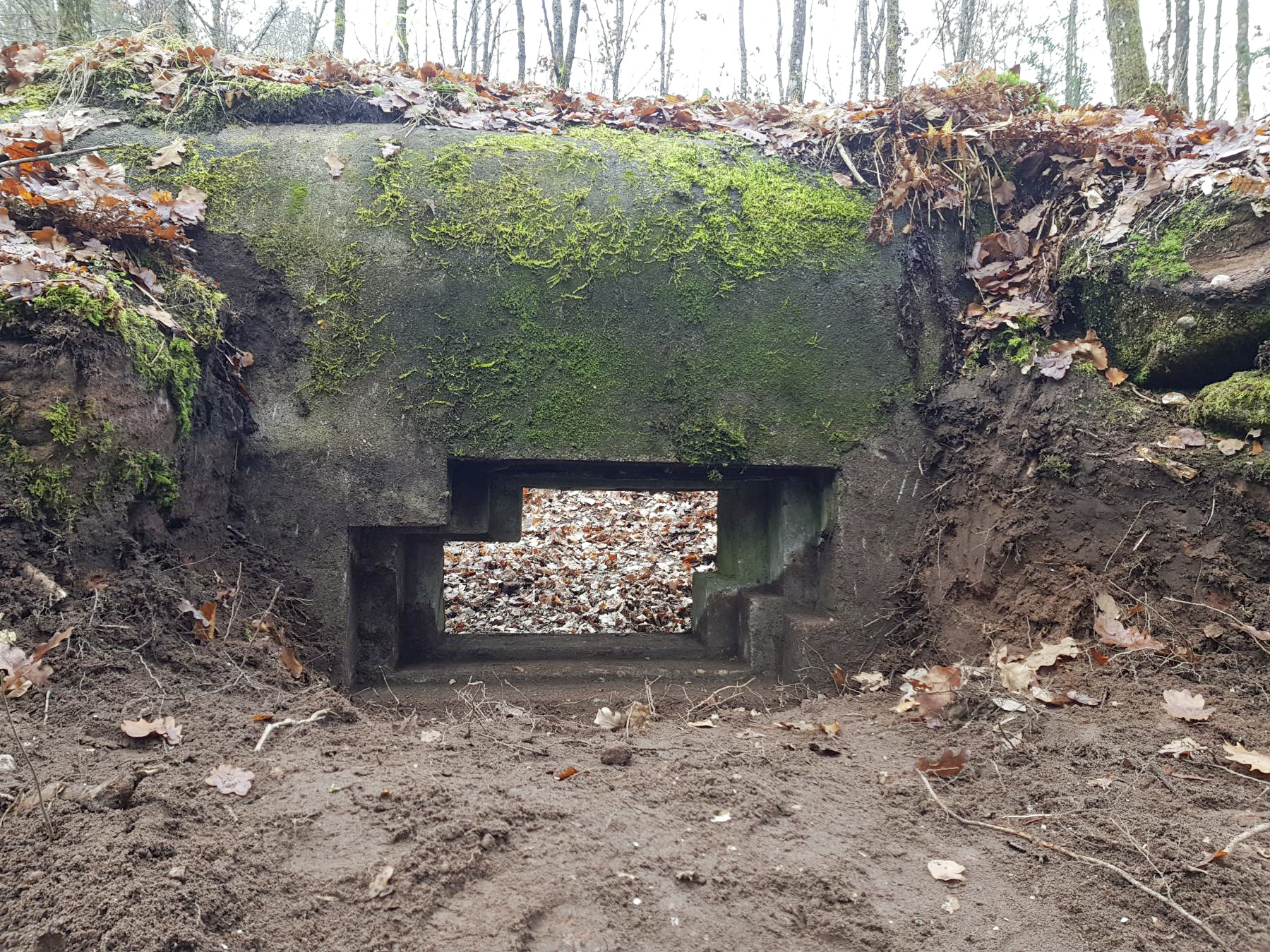Ligne Maginot - REHKOEPFEL - (Blockhaus pour canon) - Bouclier pour canon de 25 AC - Dominique Kemmel