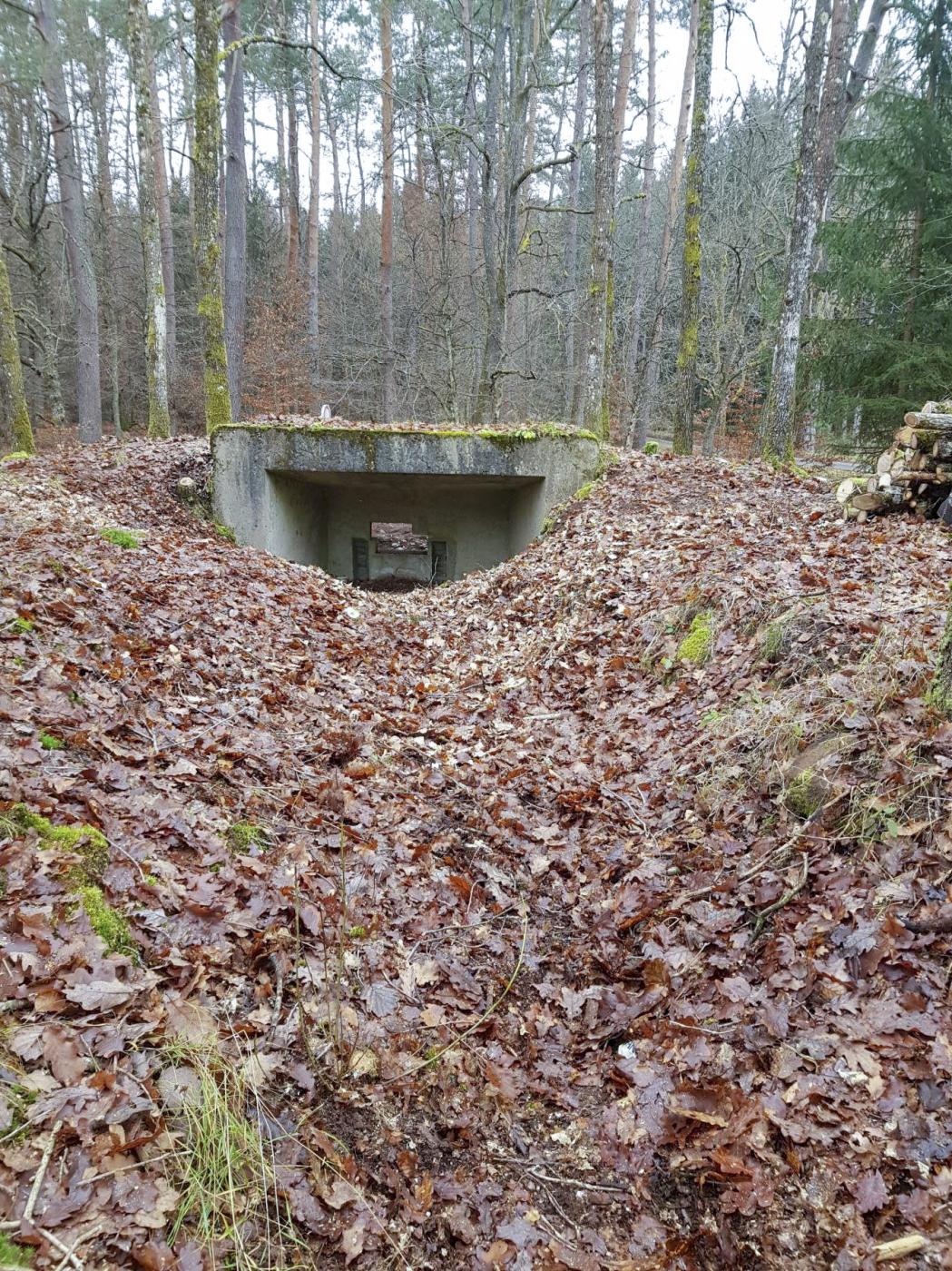Ligne Maginot - REHKOEPFEL - (Blockhaus pour canon) - Bouclier pour canon de 25 AC - Dominique Kemmel