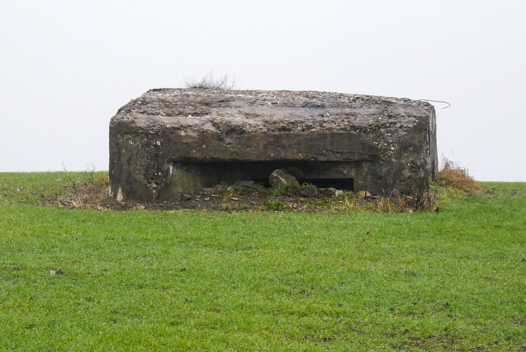 Ligne Maginot - M4B - M9 - CHEMIN CREUX - (Blockhaus pour arme infanterie) -  - Sylvie Laure LAMBERT
