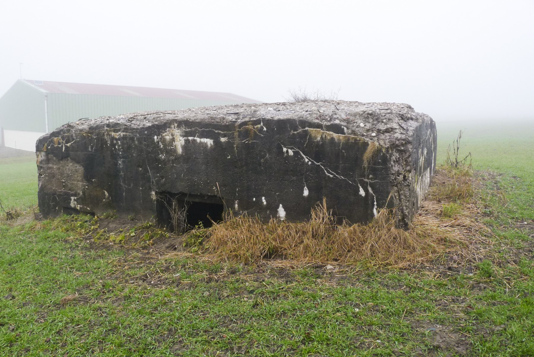 Ligne Maginot - M4B - M9 - CHEMIN CREUX - (Blockhaus pour arme infanterie) -  - Sylvie Laure LAMBERT