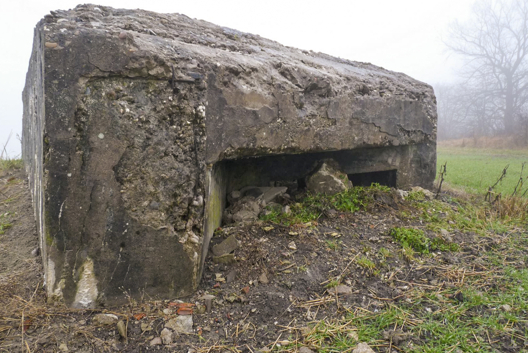 Ligne Maginot - M4B - M9 - CHEMIN CREUX - (Blockhaus pour arme infanterie) -  - Sylvie Laure LAMBERT