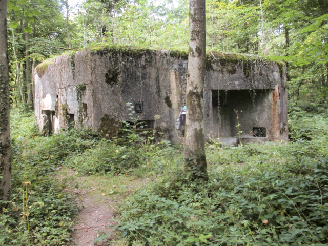 Ligne Maginot - A26-A - FONTAINE OUEST - (Blockhaus pour canon) - Situé dans son environnement entre la route de la Prise Milot et la route du Conservateur. - Randonneur62