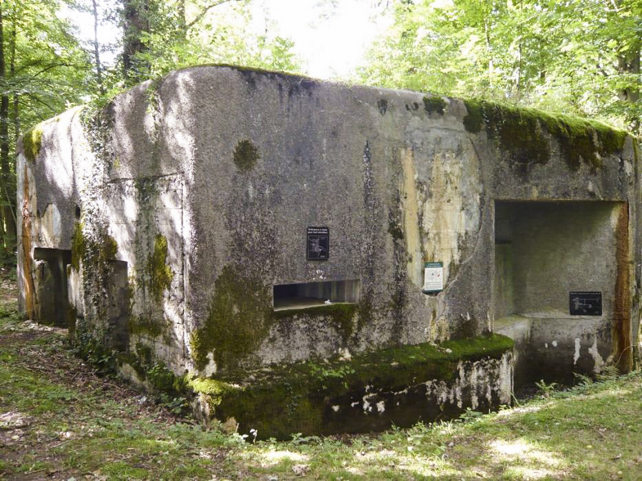 Ligne Maginot - A26-A - FONTAINE OUEST - (Blockhaus pour canon) -  - François PECHEUX