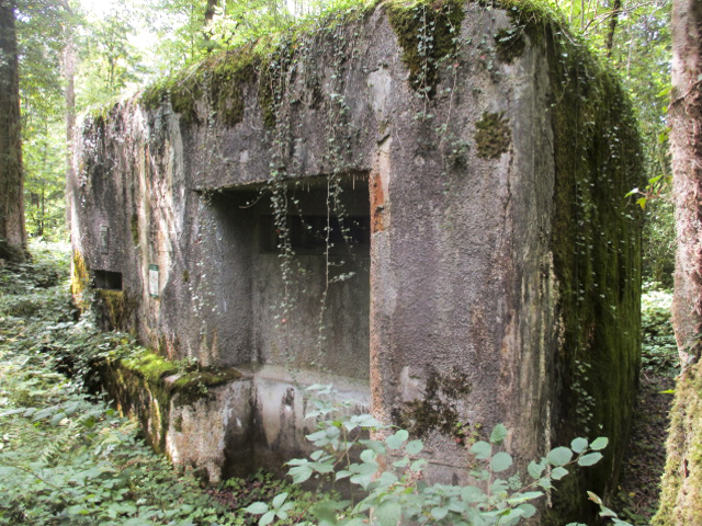 Ligne Maginot - A26-A - FONTAINE OUEST - (Blockhaus pour canon) -  - Randonneur62