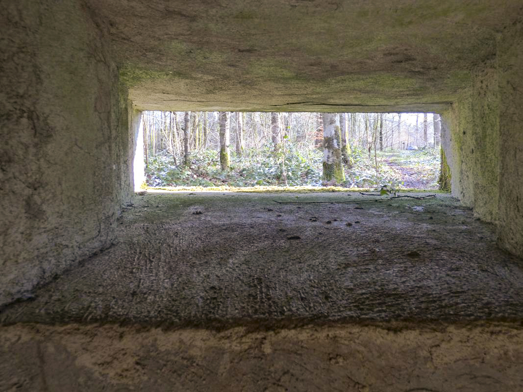 Ligne Maginot - A26-A - FONTAINE OUEST - (Blockhaus pour canon) -  - JMBrams