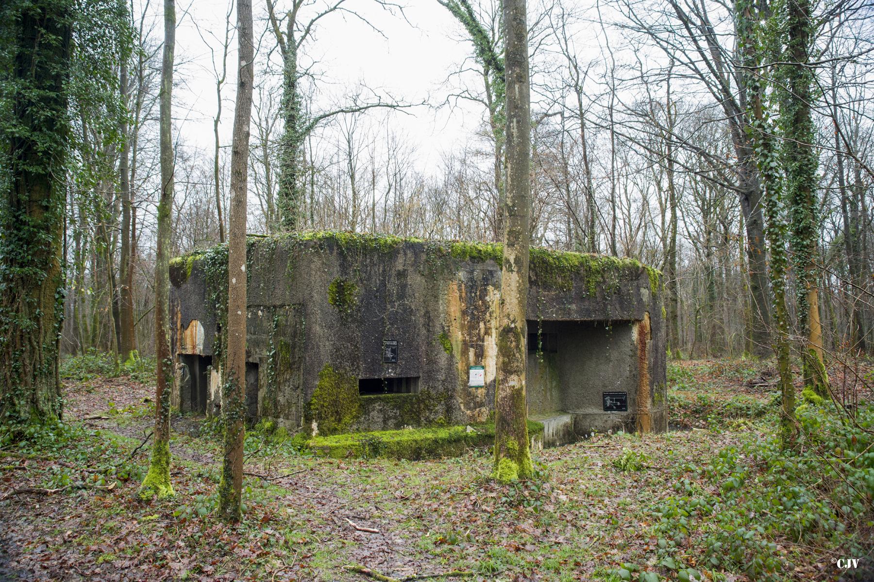 Ligne Maginot - A26-A - FONTAINE OUEST - (Blockhaus pour canon) -  - Lia VERMEULEN