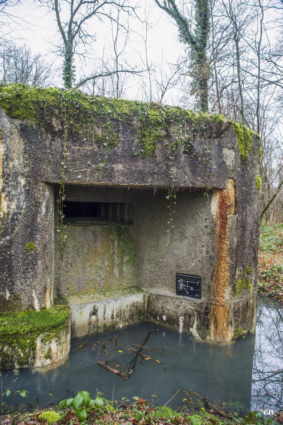 Ligne Maginot - A26-A - FONTAINE OUEST - (Blockhaus pour canon) -  - Lia VERMEULEN