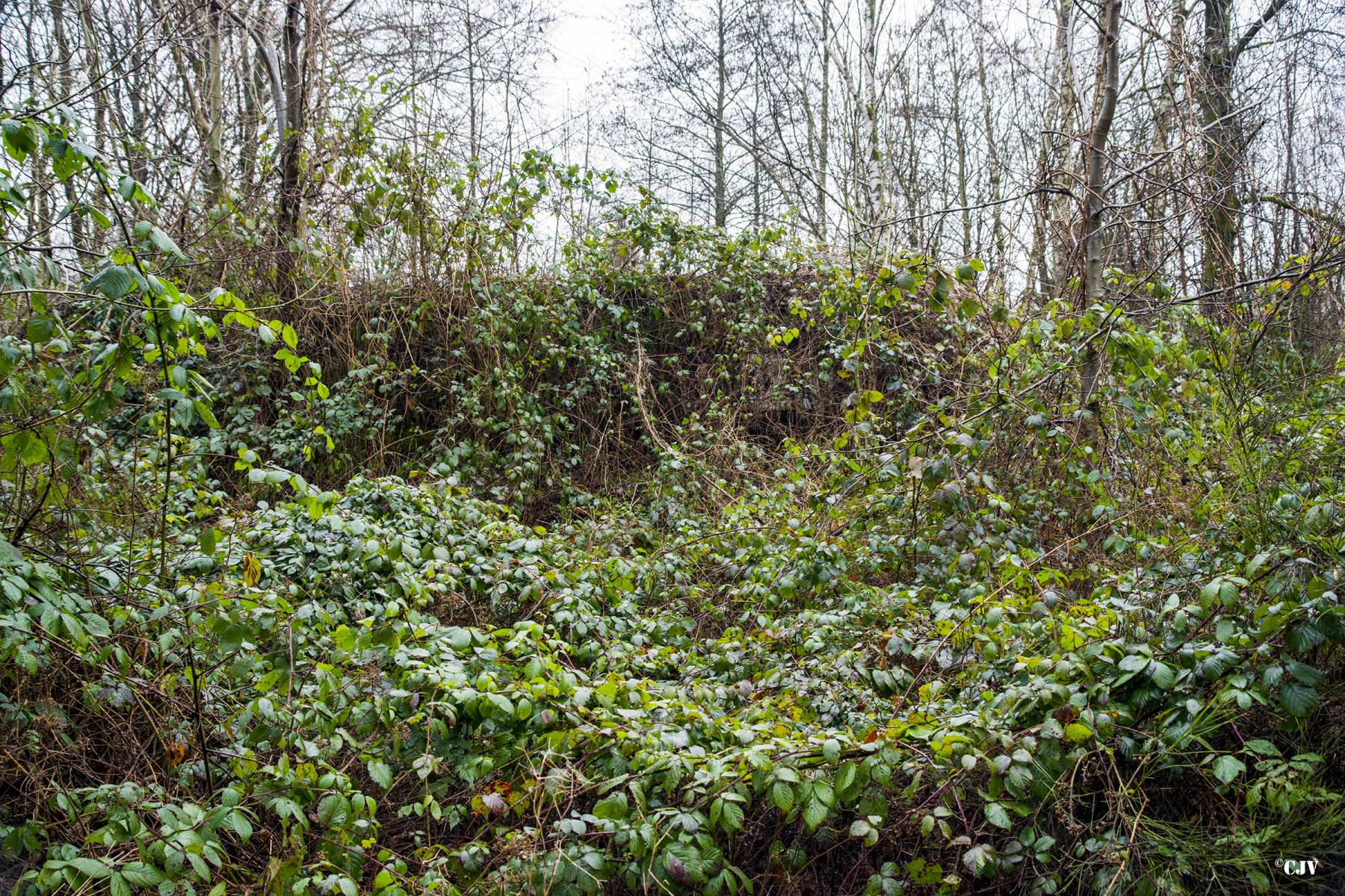 Ligne Maginot - A26-B - FONTAINE EST - (Blockhaus pour canon) -  - Lia VERMEULEN