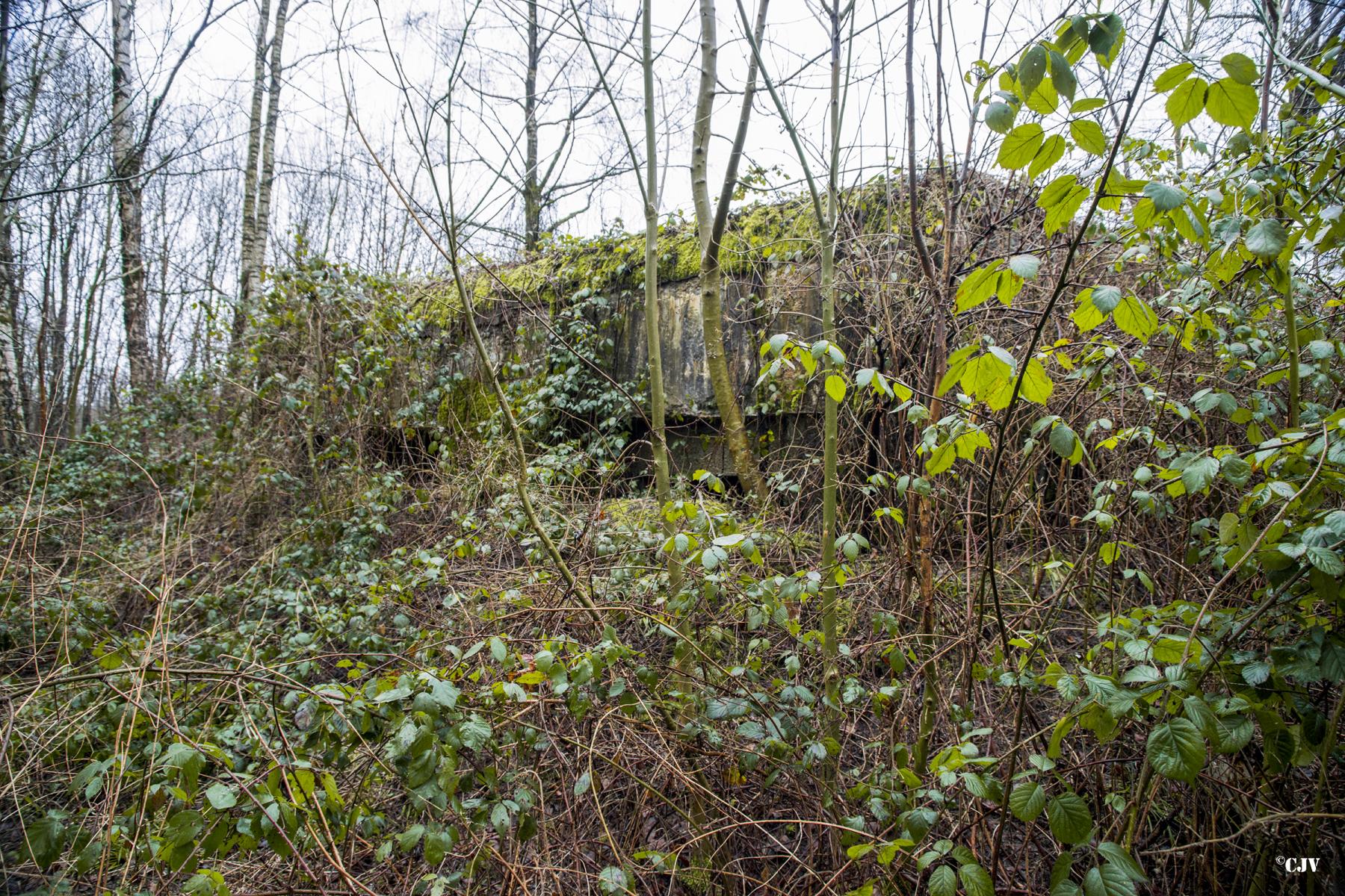 Ligne Maginot - A26-B - FONTAINE EST - (Blockhaus pour canon) -  - Lia VERMEULEN