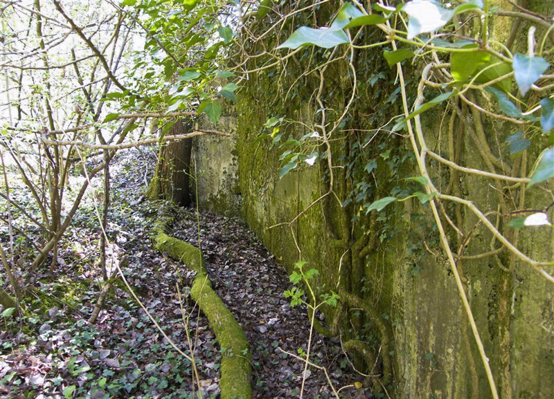 Ligne Maginot - LIEBFRAUENTHAL - (Casemate d'infanterie) -  - Jean-Louis AUBLET & Sylvie MAINGUIN