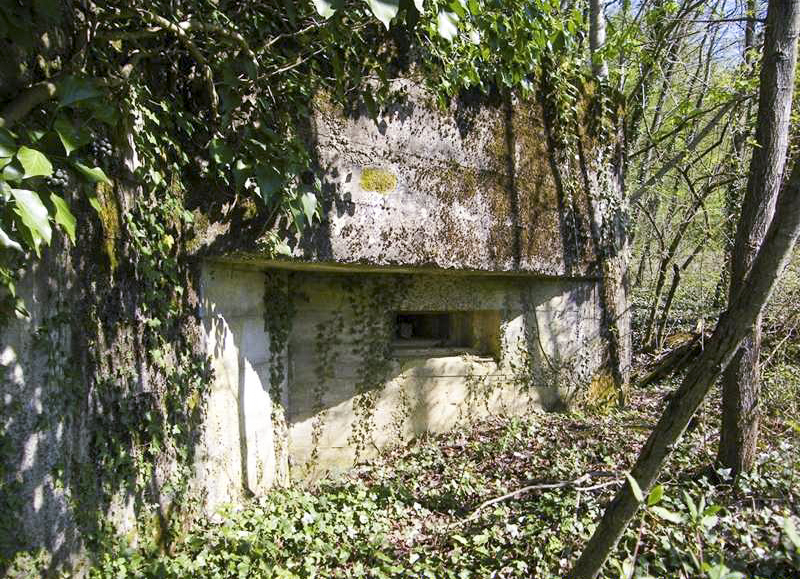 Ligne Maginot - LIEBFRAUENTHAL - (Casemate d'infanterie) -  - Jean-Louis AUBLET & Sylvie MAINGUIN