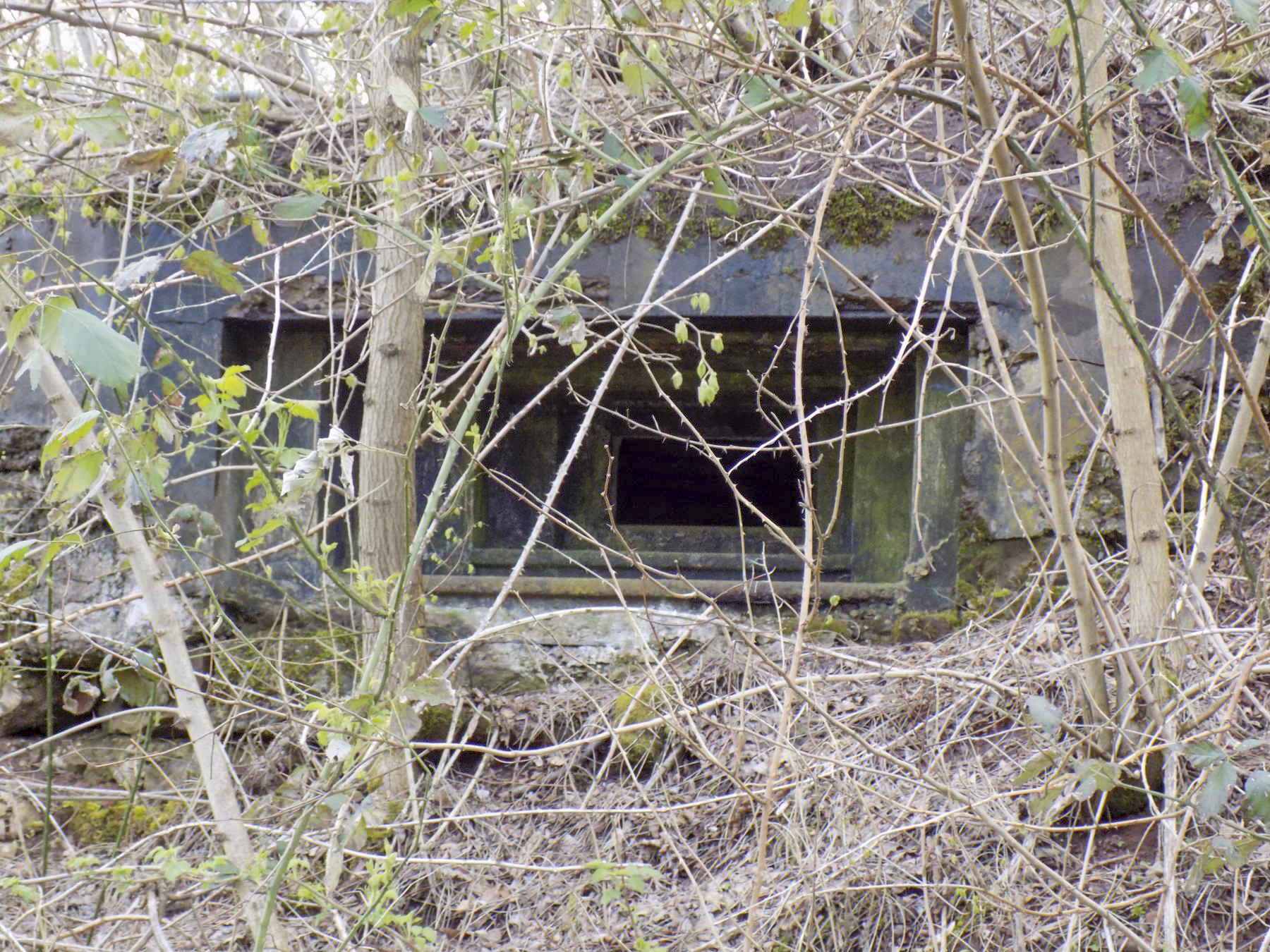 Ligne Maginot - GALGENBERG Est (Blockhaus pour arme infanterie) - Créneau face a la route - J.Luc