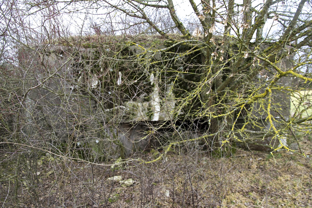 Ligne Maginot - AB1BIS - (Blockhaus pour arme infanterie) -  - Alain Perouffe