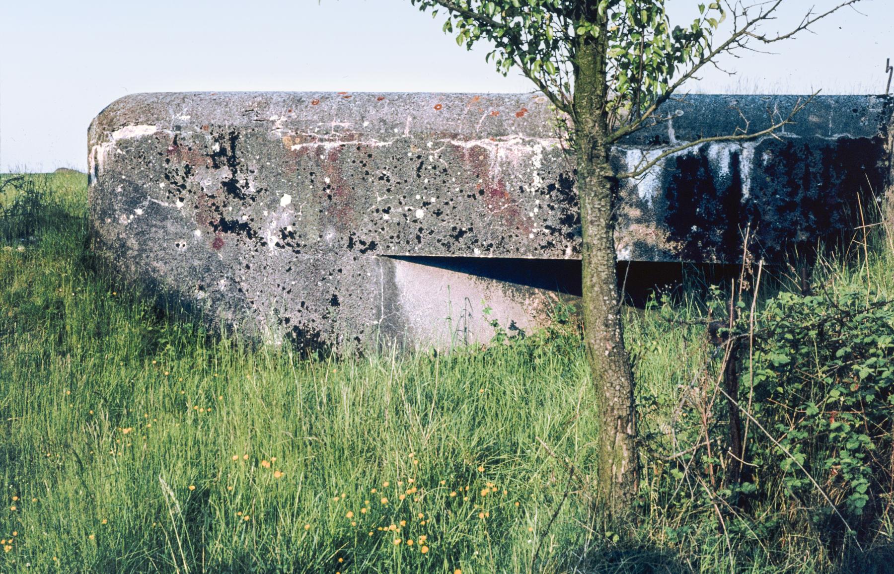 Ligne Maginot - AB3 - (Blockhaus pour canon) -  - MANSUY Michel