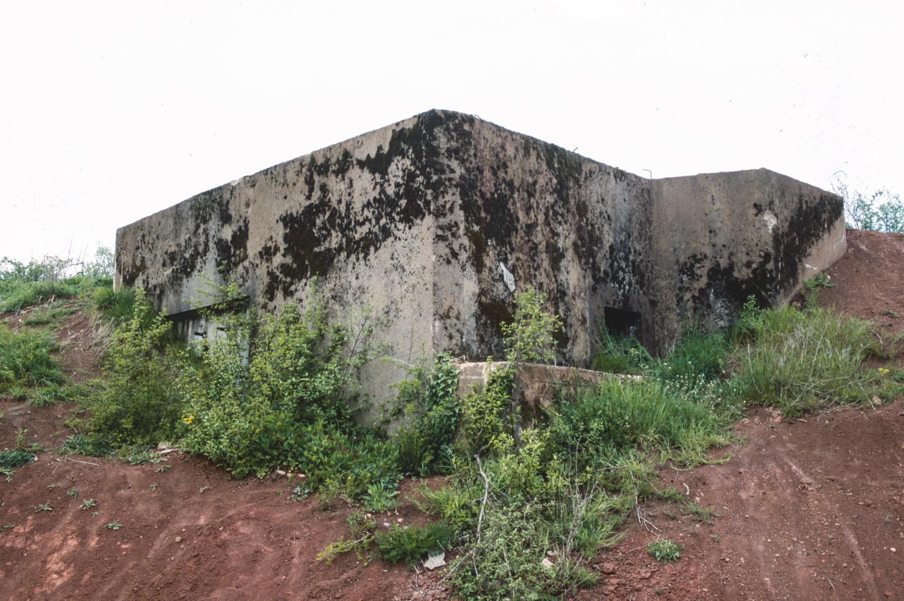 Ligne Maginot - BB241 - HINTERHOLHECK SUD - (Blockhaus pour arme infanterie) -  - MANSUY Michel