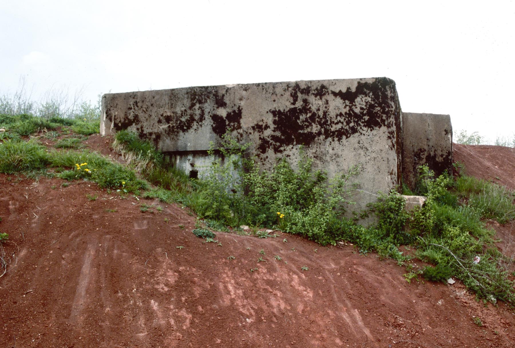 Ligne Maginot - BB241 - HINTERHOLHECK SUD - (Blockhaus pour arme infanterie) -  - MANSUY Michel