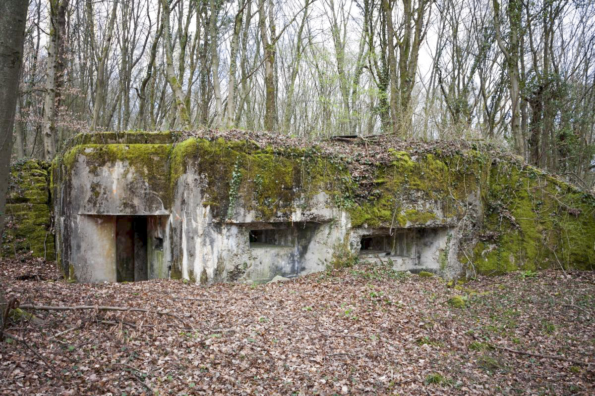 Ligne Maginot - AB36 - (Blockhaus pour canon) -  - Fré Do