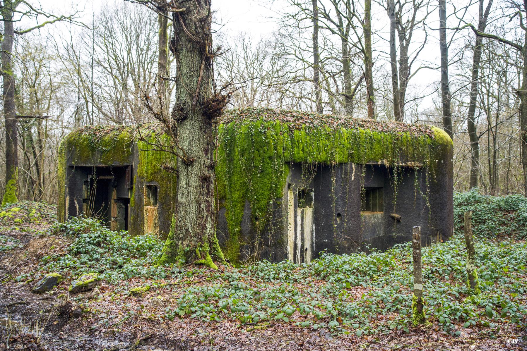 Ligne Maginot - A35 - JEAN DIOT - (Blockhaus pour canon) -  - Lia VERMEULEN