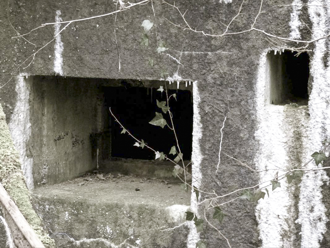 Ligne Maginot - A35 - JEAN DIOT - (Blockhaus pour canon) -  - JMBrams