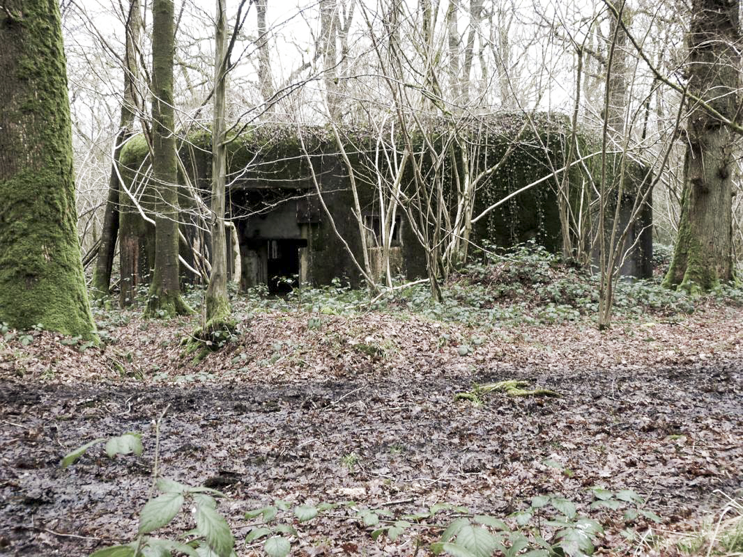 Ligne Maginot - A35 - JEAN DIOT - (Blockhaus pour canon) -  - JMBrams