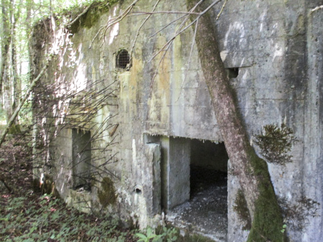 Ligne Maginot - A21 - PEUPLIER EST - (Blockhaus pour canon) -  - Randonneur62