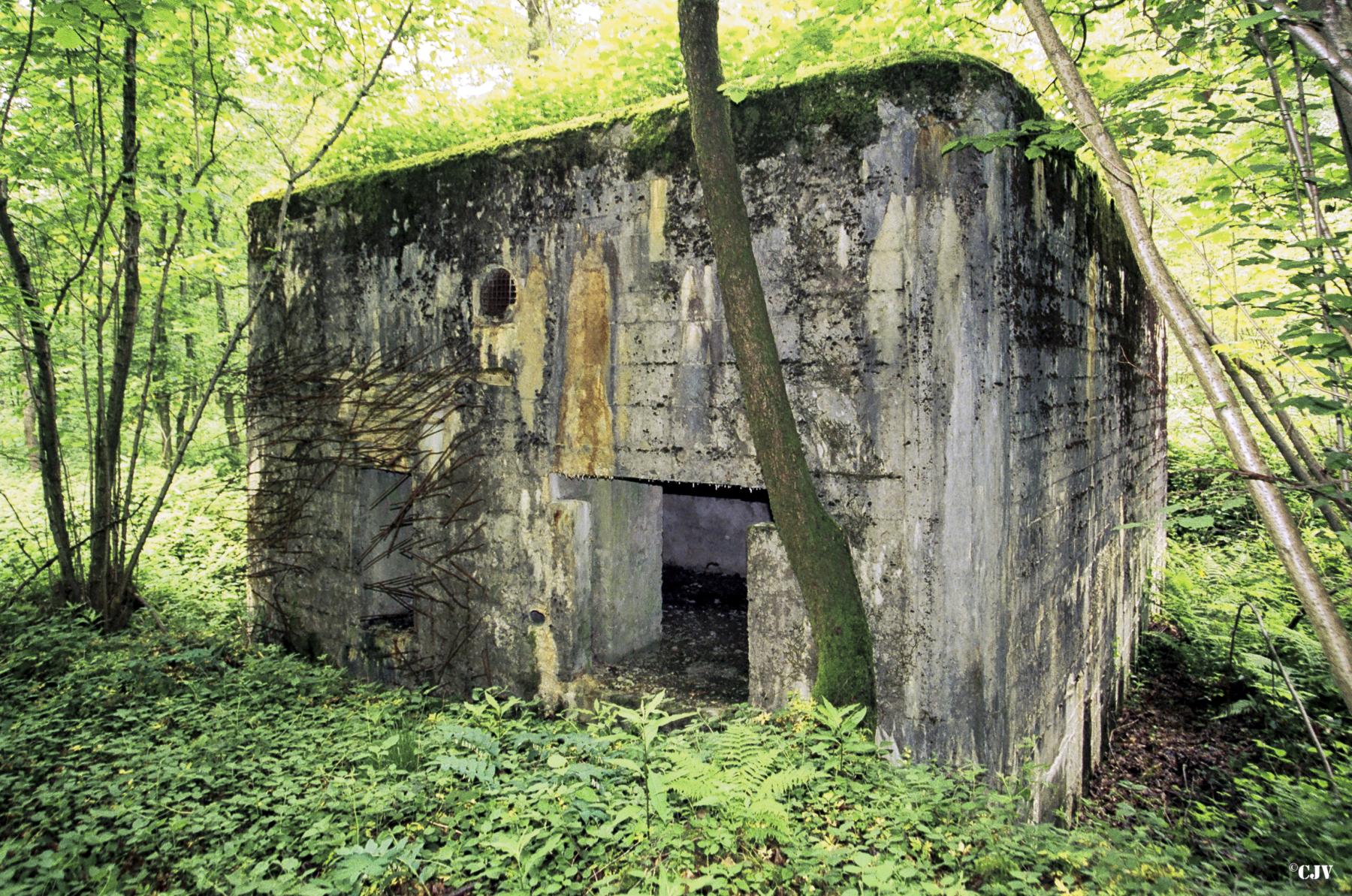 Ligne Maginot - A21 - PEUPLIER EST - (Blockhaus pour canon) -  - Caspar Vermeulen