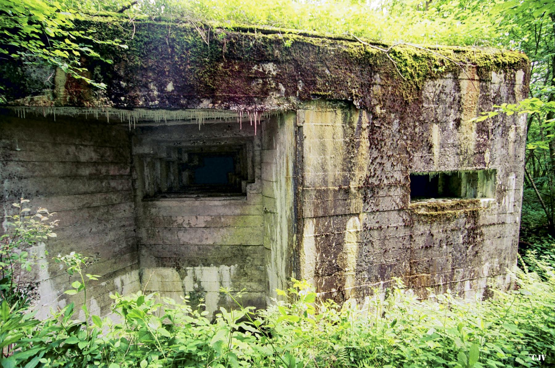 Ligne Maginot - A21 - PEUPLIER EST - (Blockhaus pour canon) -  - Caspar Vermeulen