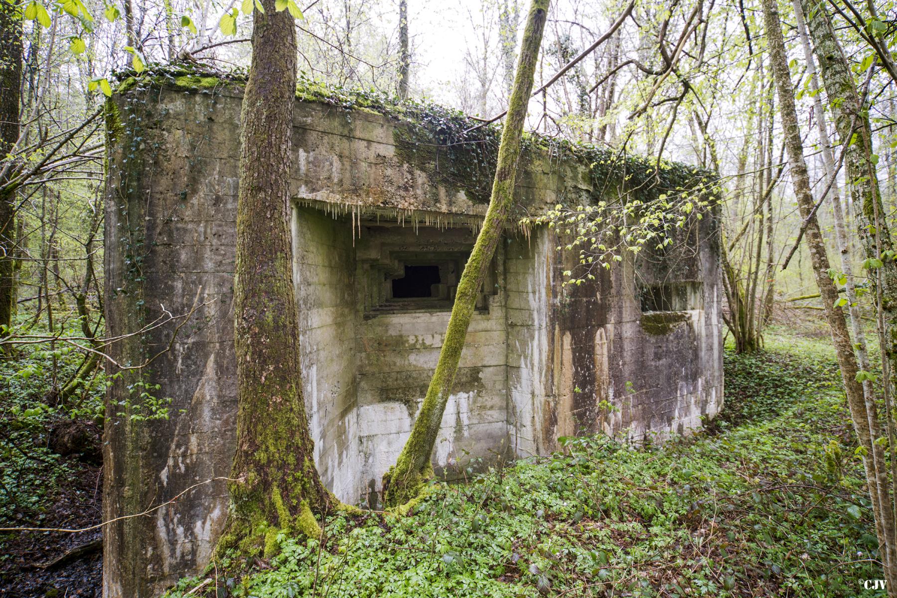 Ligne Maginot - A21 - PEUPLIER EST - (Blockhaus pour canon) -  - Lia VERMEULEN