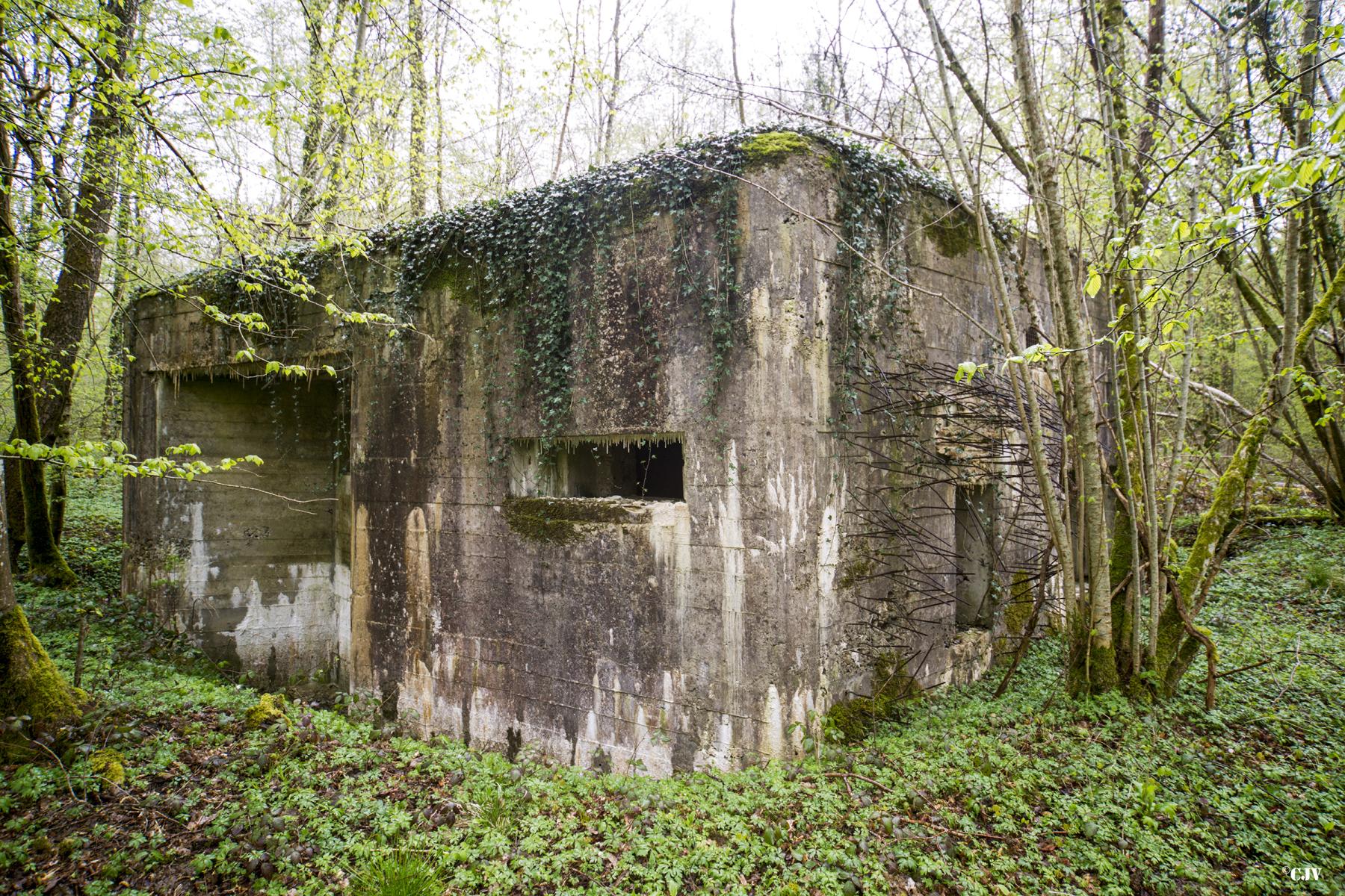 Ligne Maginot - A21 - PEUPLIER EST - (Blockhaus pour canon) -  - Lia VERMEULEN