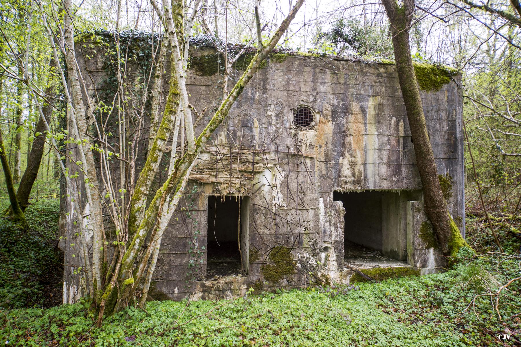 Ligne Maginot - A21 - PEUPLIER EST - (Blockhaus pour canon) -  - Lia VERMEULEN