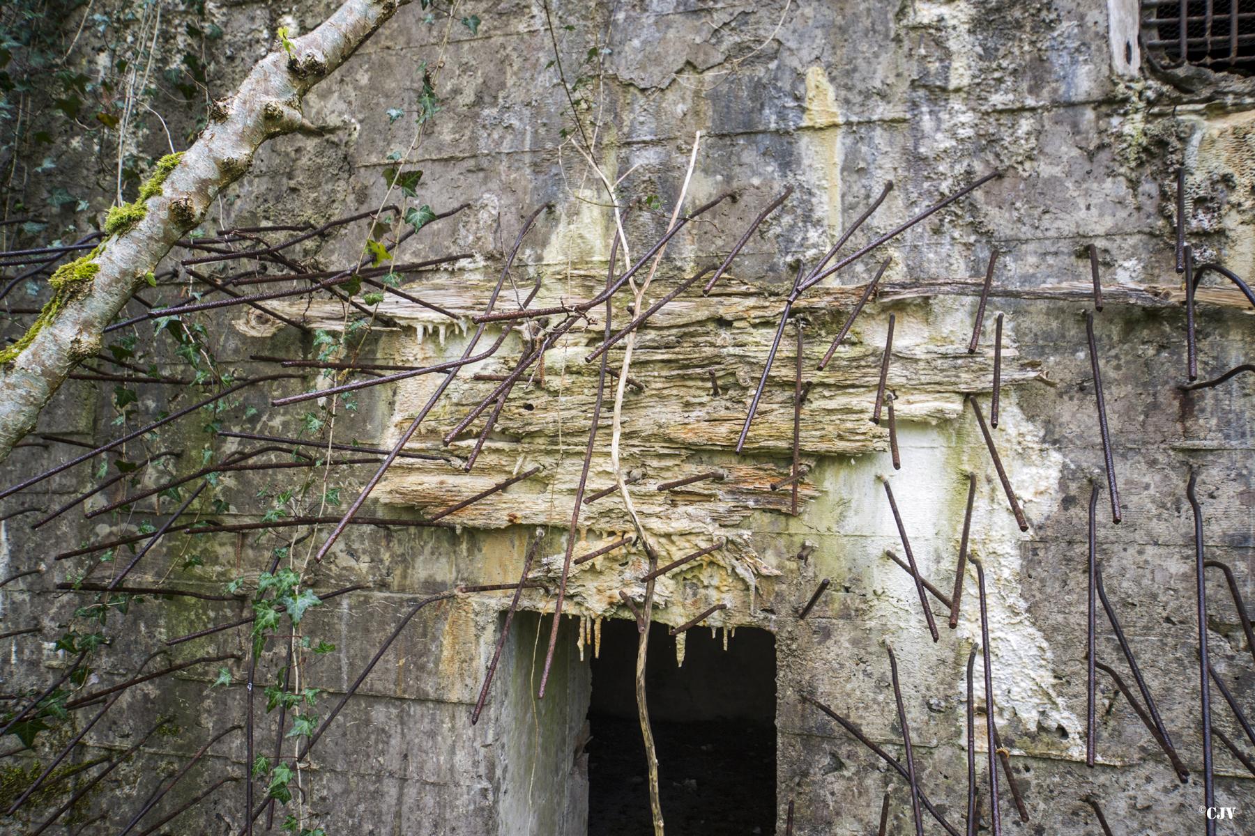 Ligne Maginot - A21 - PEUPLIER EST - (Blockhaus pour canon) -  - Lia VERMEULEN