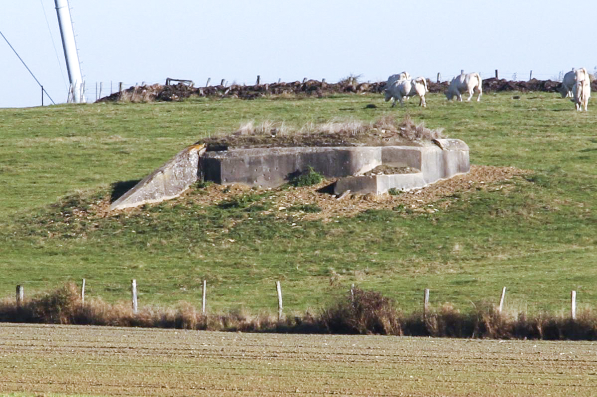 Ligne Maginot - AB23 - (Blockhaus pour canon) - Pris de la départementale - JOLAS, Jean-Michel
