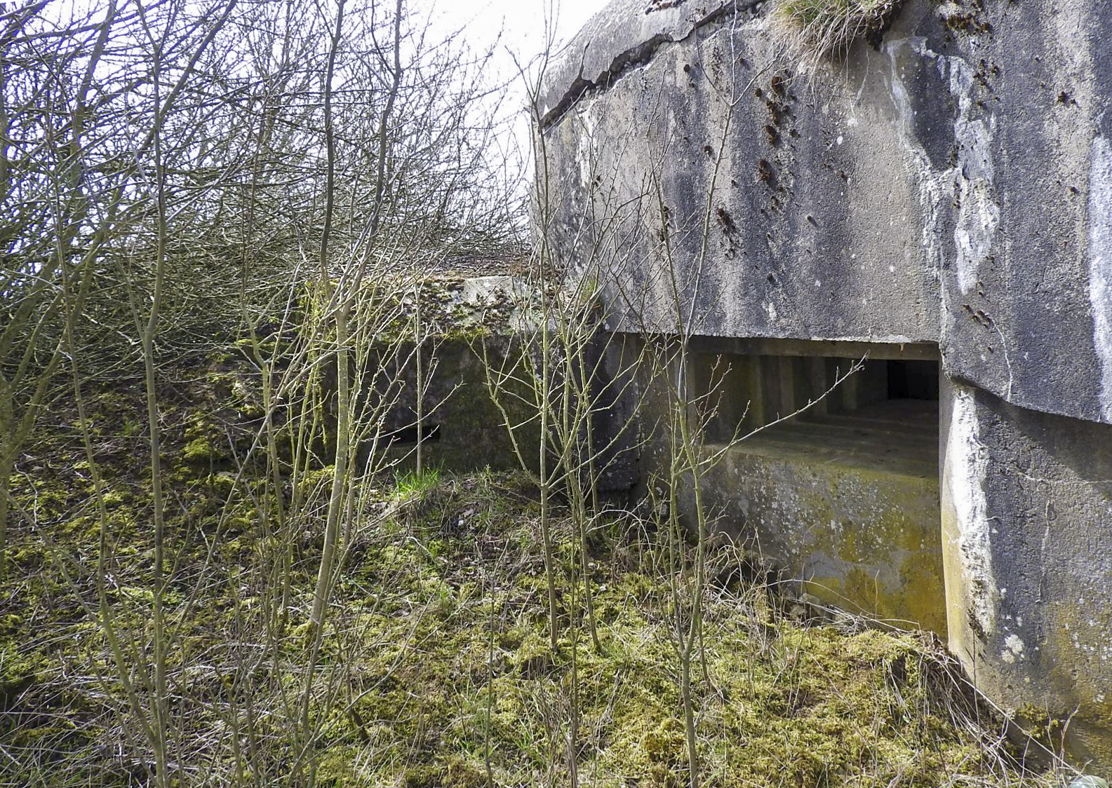 Ligne Maginot - AB24 - (Blockhaus pour canon) - L'avancée pour FM de défense de l'entrée et le créneau mitrailleuse. - STENGER Mathieu