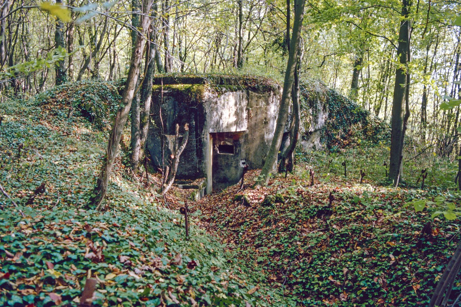 Ligne Maginot - AB36 - (Blockhaus pour canon) -  - MANSUY Michel