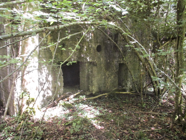 Ligne Maginot - A22 - ACCACIA - (Blockhaus pour canon) - Blockhaus situé entre la Route de l'Etang et la route du Pas Bayart à l'Etoile. - Randonneur62