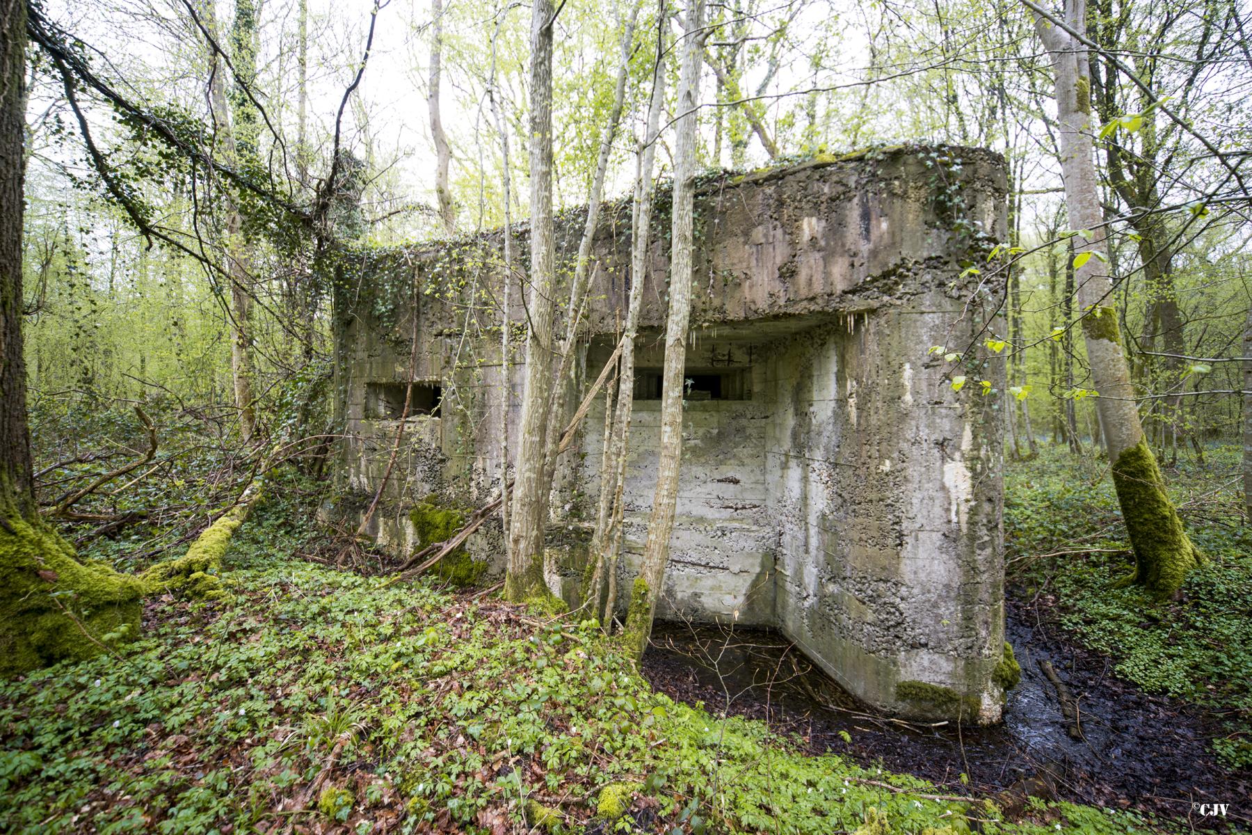 Ligne Maginot - A22 - ACCACIA - (Blockhaus pour canon) -  - Lia VERMEULEN