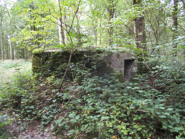 Ligne Maginot - BA23 - ROUTE FORESTIÈRE MEUNIER SUD - (Blockhaus pour arme infanterie) - Blockhaus situé entre la route forestière Meunier et la route forestière des Faux. - Randonneur62