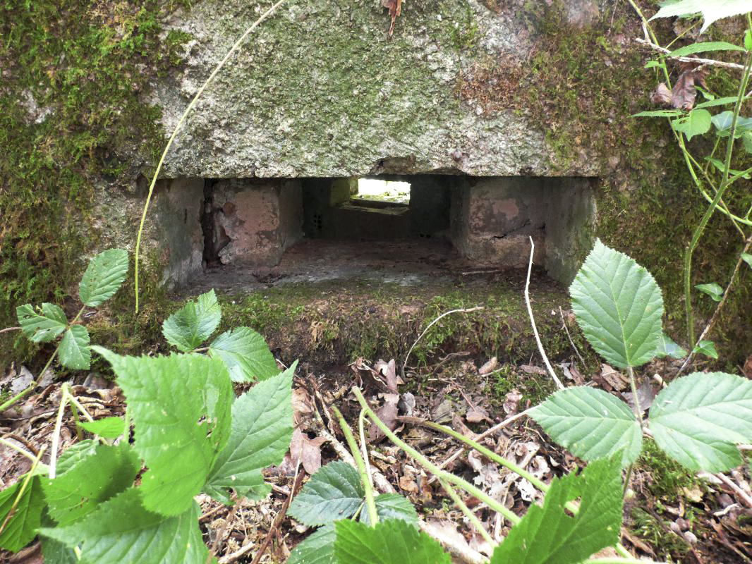 Ligne Maginot - BA23 - ROUTE FORESTIÈRE MEUNIER SUD - (Blockhaus pour arme infanterie) -  - JMBrams