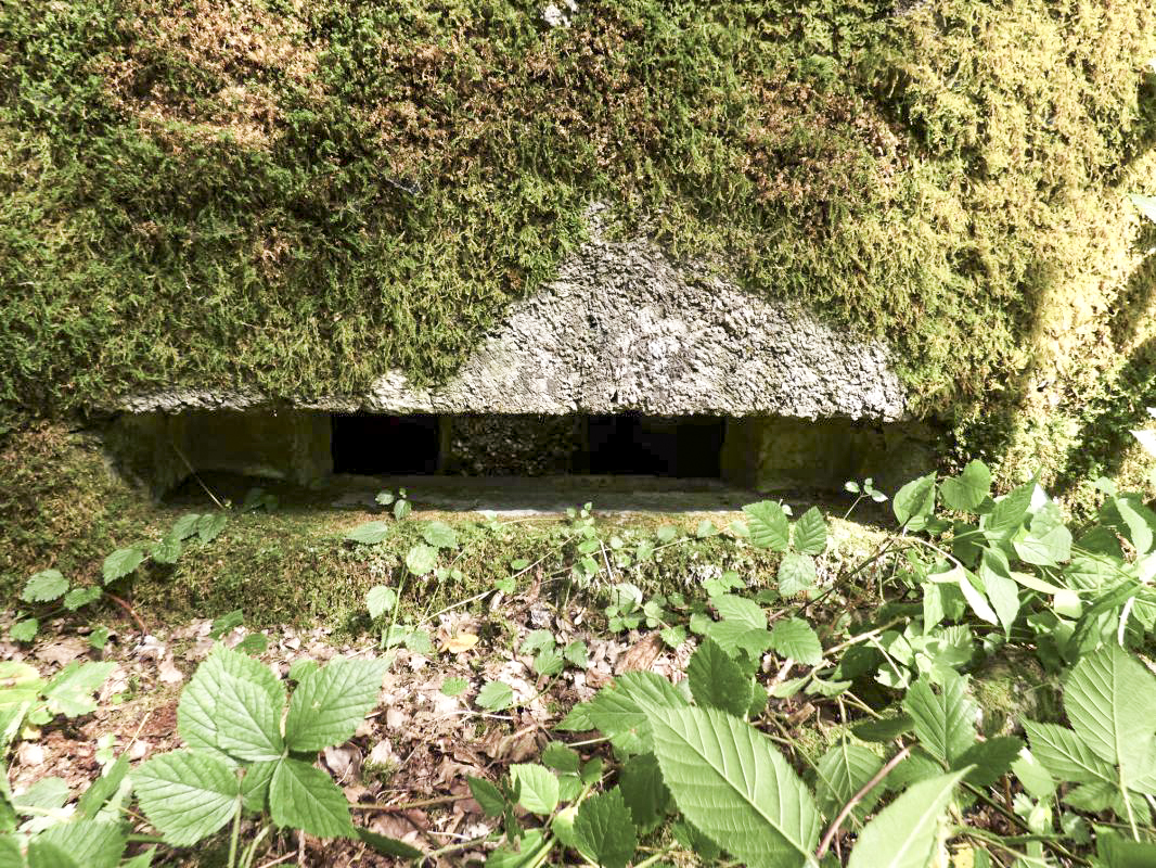 Ligne Maginot - BA23 - ROUTE FORESTIÈRE MEUNIER SUD - (Blockhaus pour arme infanterie) -  - JMBrams