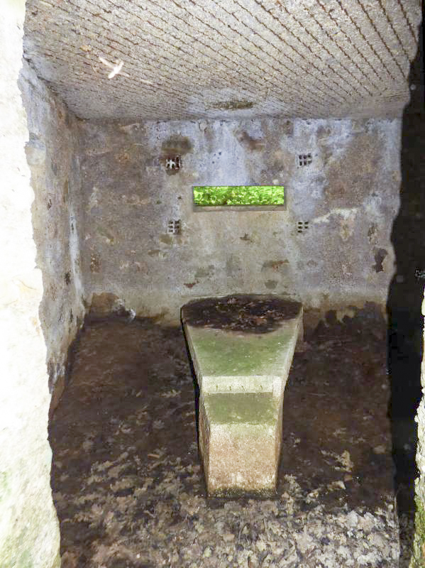 Ligne Maginot - BA23 - ROUTE FORESTIÈRE MEUNIER SUD - (Blockhaus pour arme infanterie) -  - JMBrams