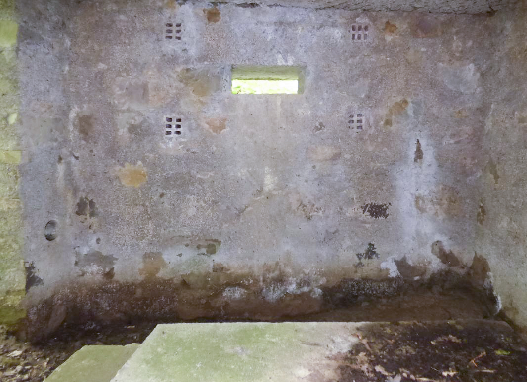 Ligne Maginot - BA23 - ROUTE FORESTIÈRE MEUNIER SUD - (Blockhaus pour arme infanterie) -  - JMBrams