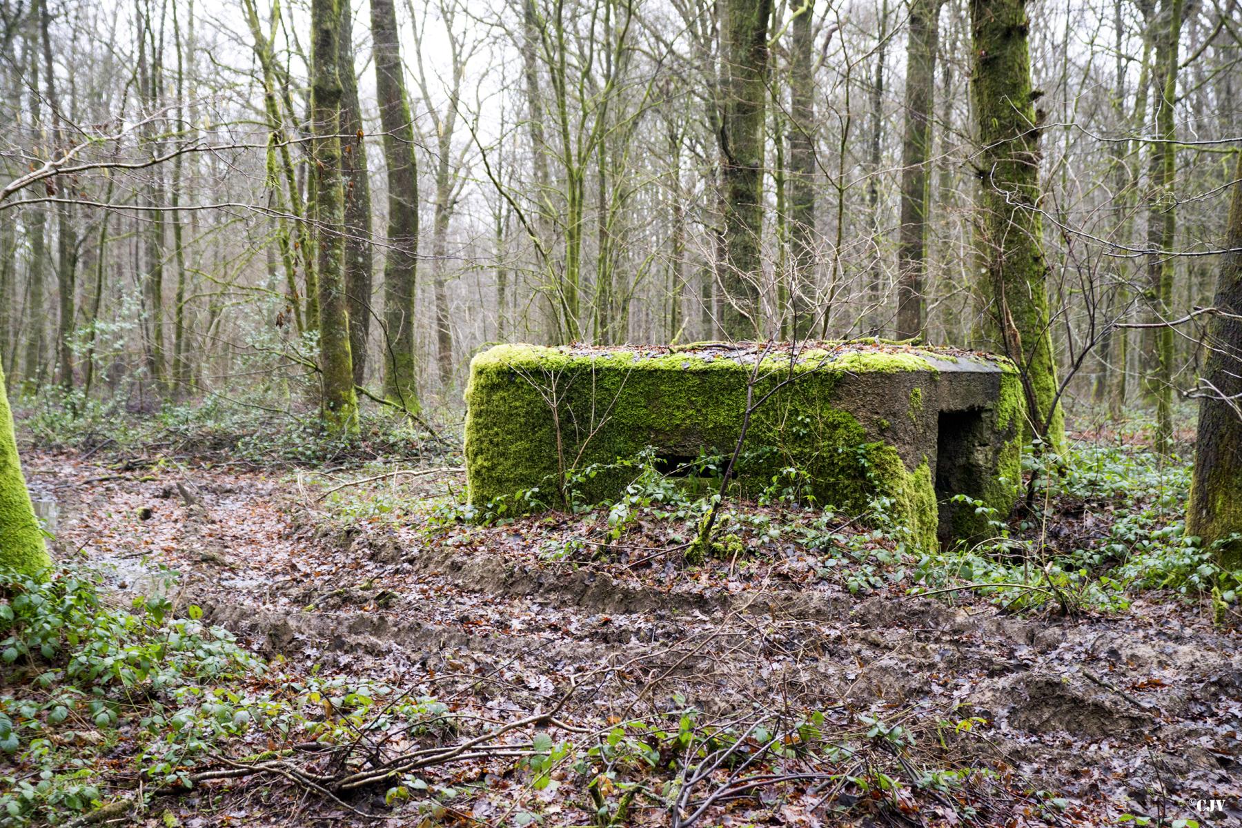 Ligne Maginot - BA23 - ROUTE FORESTIÈRE MEUNIER SUD - (Blockhaus pour arme infanterie) -  - Lia VERMEULEN