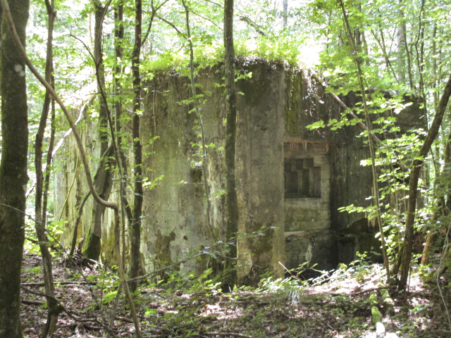 Ligne Maginot - AULNE OUEST - (Blockhaus pour canon) - Blockhaus situé à proximité de la route du Pas Bayart à l'Etoile. - Randonneur62