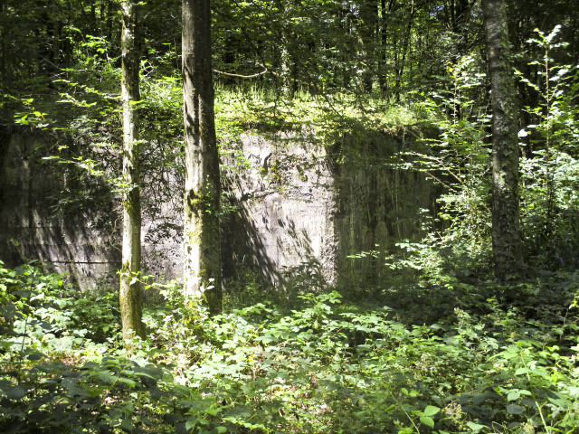 Ligne Maginot - AULNE OUEST - (Blockhaus pour canon) - Blockhaus situé à proximité de la route du Pas Bayart à l'Etoile. - Randonneur62