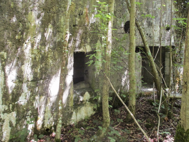 Ligne Maginot - AULNE OUEST - (Blockhaus pour canon) - Blockhaus situé à proximité de la route du Pas Bayart à l'Etoile. - Randonneur62