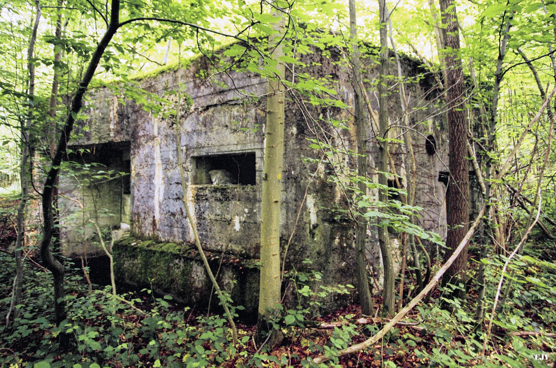 Ligne Maginot - AULNE OUEST - (Blockhaus pour canon) -  - Caspar Vermeulen