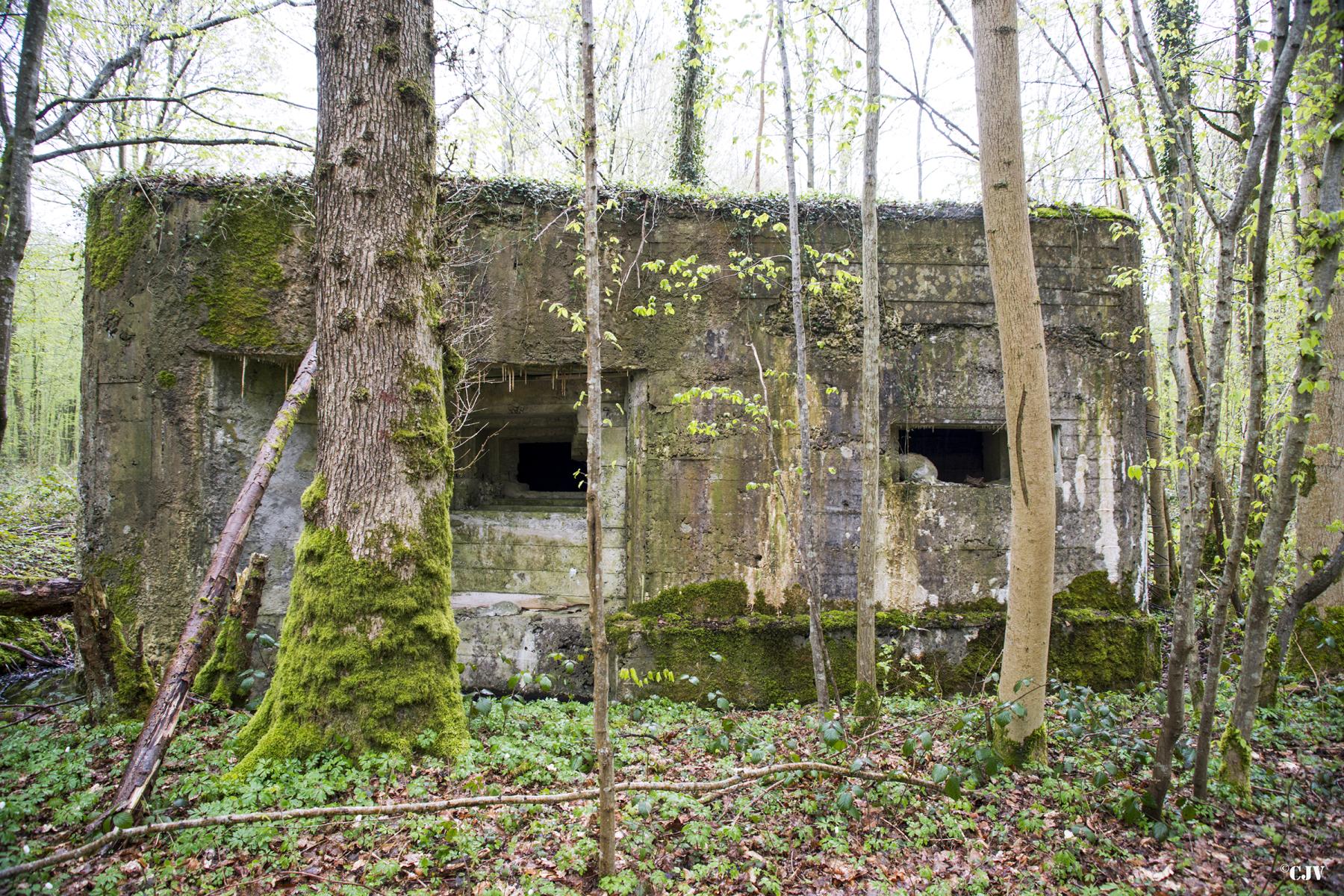 Ligne Maginot - AULNE OUEST - (Blockhaus pour canon) -  - Lia VERMEULEN