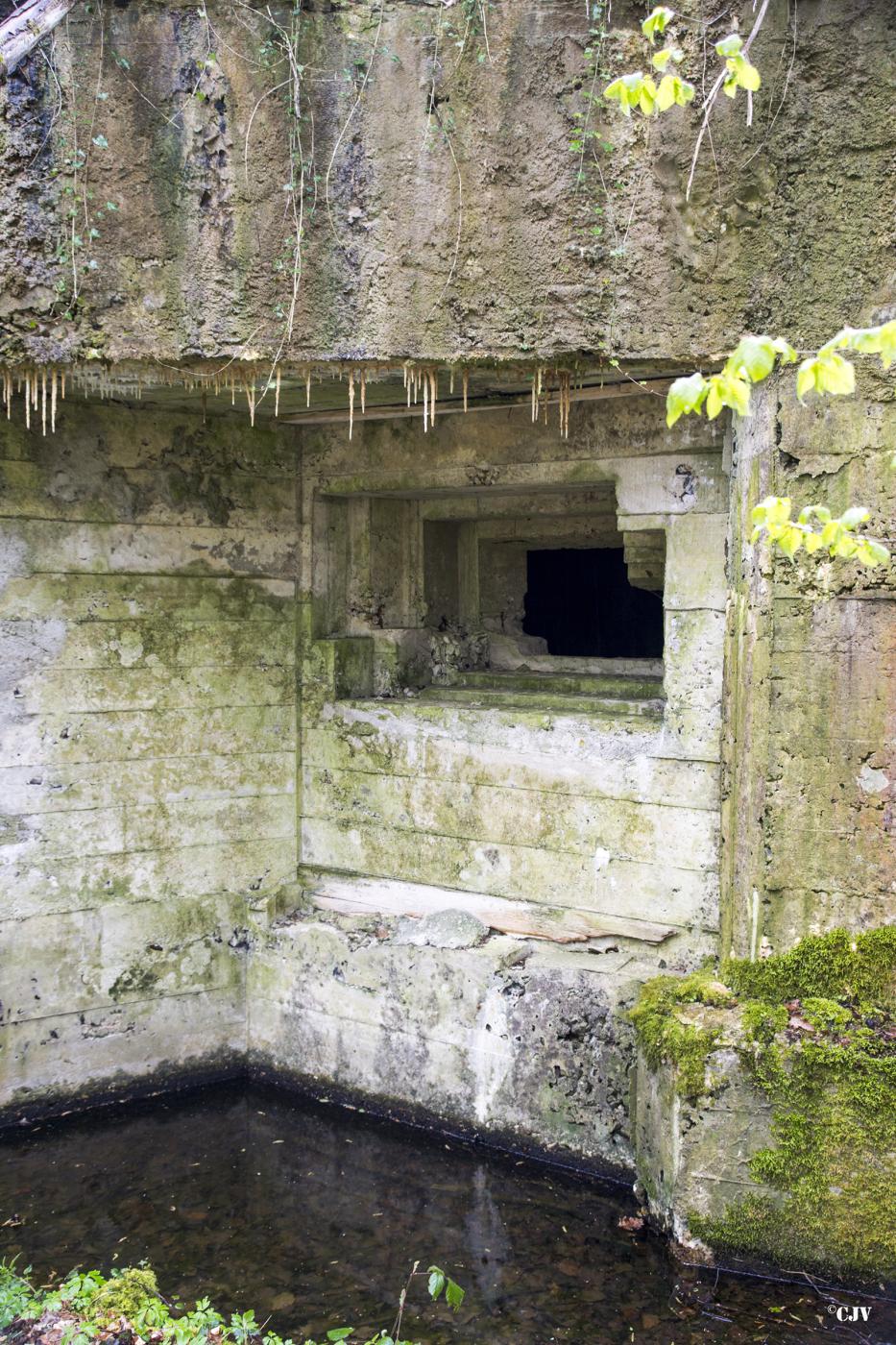 Ligne Maginot - AULNE OUEST - (Blockhaus pour canon) -  - Lia VERMEULEN